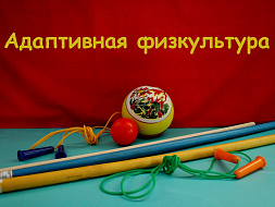 «Социализация детей с ОВЗ средствами адаптивной физкультуры» «Социализация детей с ОВЗ средствами адаптивной физкультуры»